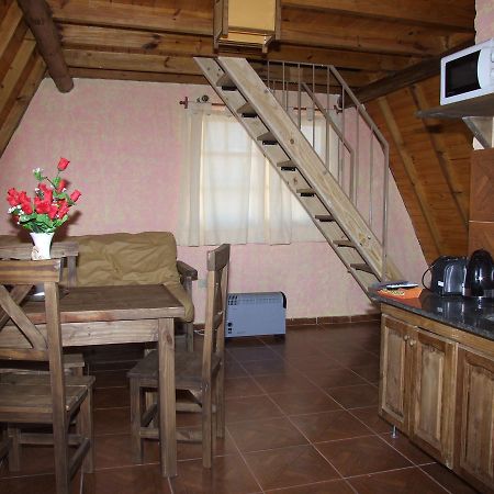 Cabañas Wenelcklén Uspallata Extérieur photo